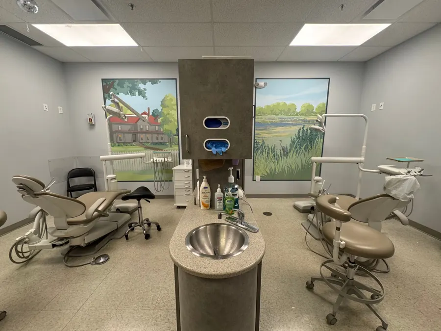 Two hygiene chairs with murals of a front porch and a heron in the marsh