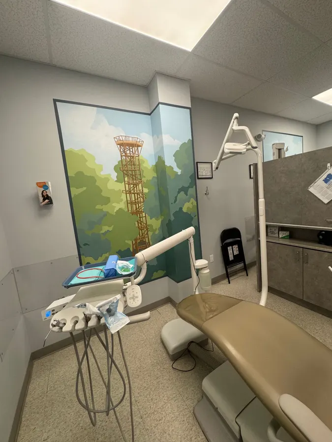 Another view of the treatment room and its treetop lookout mural